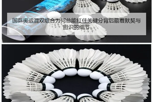 img_1780224134950_24_1_108.jpg